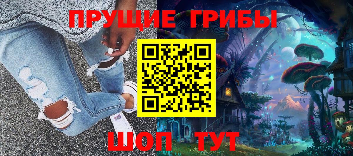 Псилоцибиновые грибы Psilocybe Дедовск